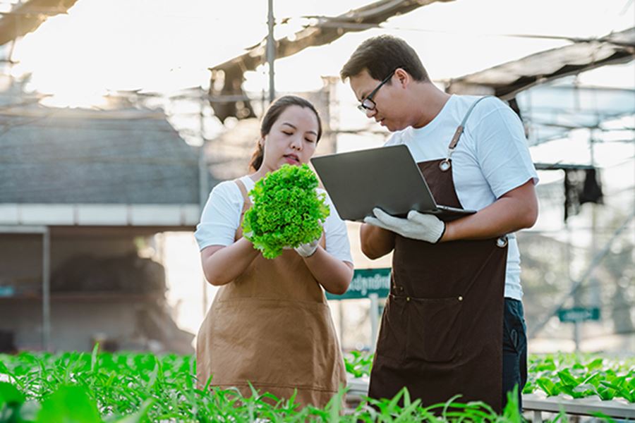 Responsible Sourcing